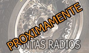 itv-llantas de radios