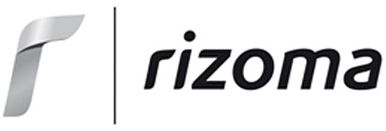 Adaptadores para Estriberas RIZOMA - BMW RnineT